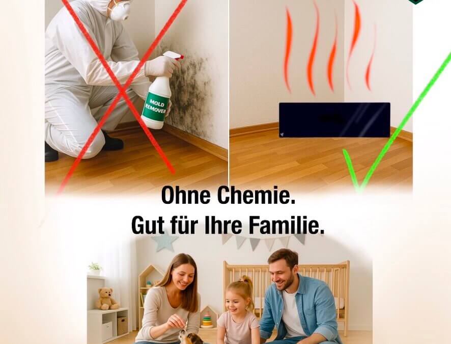 Schimmelentferner ohne Chemie